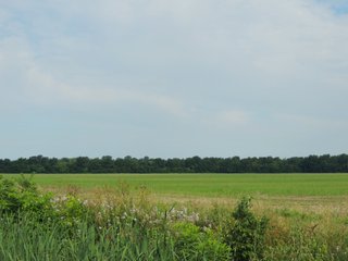 Property photo 27 - MAJOR LAND AUCTION - 541+/- Acres offered in 5 Tracts