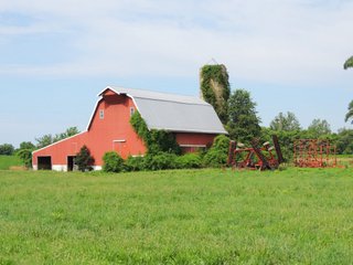 Property photo 24 - MAJOR LAND AUCTION - 541+/- Acres offered in 5 Tracts