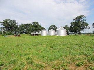 Property photo 23 - MAJOR LAND AUCTION - 541+/- Acres offered in 5 Tracts