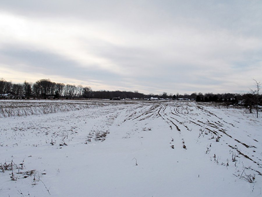 INDIANA LAND AUCTION, 50.351+/- Acres