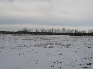 Property photo 5 - INDIANA LAND AUCTION, 50.351+/- Acres