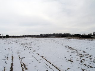 Property photo 4 - INDIANA LAND AUCTION, 50.351+/- Acres