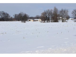 Property photo 2 - REAL ESTATE AUCTION, 241.01+/- Acres offered in 10 Tracts, Mostly Tillable Land