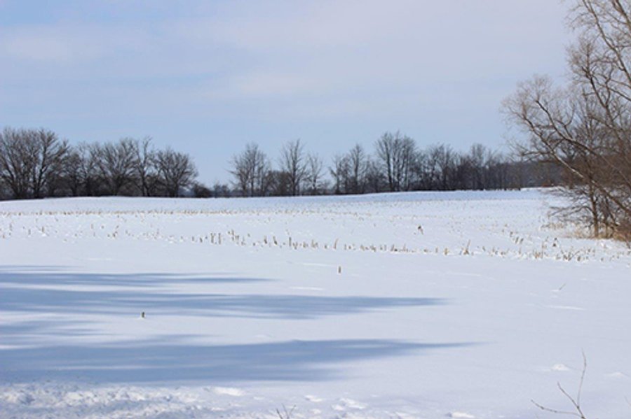 REAL ESTATE AUCTION, 241.01+/- Acres offered in 10 Tracts, Mostly Tillable Land