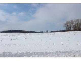 Property photo 3 - REAL ESTATE AUCTION, 241.01+/- Acres offered in 10 Tracts, Mostly Tillable Land
