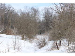 Property photo 4 - REAL ESTATE AUCTION, 241.01+/- Acres offered in 10 Tracts, Mostly Tillable Land
