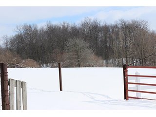 Property photo 6 - REAL ESTATE AUCTION, 241.01+/- Acres offered in 10 Tracts, Mostly Tillable Land