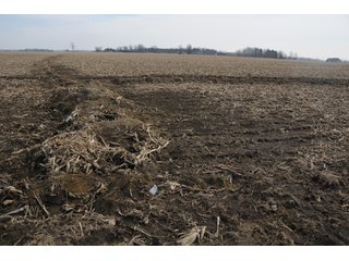 Property photo 31 - MAJOR LAND AUCTION, 833+/- Acres offered in 15 tracts, 811+/- Tillable Acres
