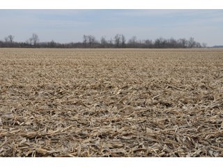 Property photo 29 - MAJOR LAND AUCTION, 833+/- Acres offered in 15 tracts, 811+/- Tillable Acres