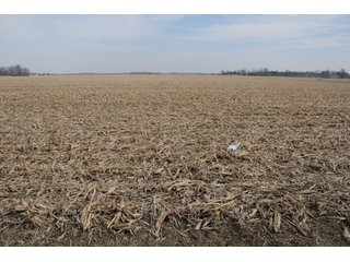 Property photo 15 - MAJOR LAND AUCTION, 833+/- Acres offered in 15 tracts, 811+/- Tillable Acres