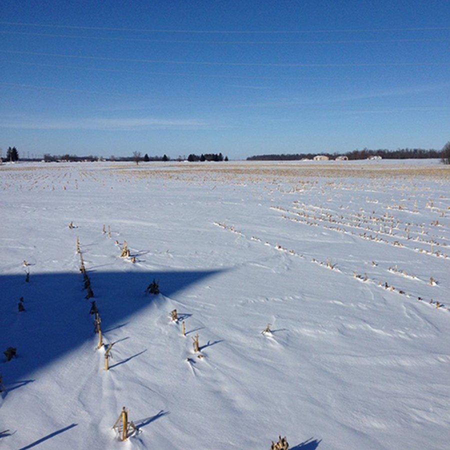 NEW AUCTION SITE! - LAND AUCTION, 40+/- Acres offered in 3 Tracts