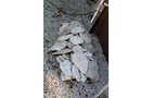 Property photo 17 - PERSONAL PROPERTY AUCTION