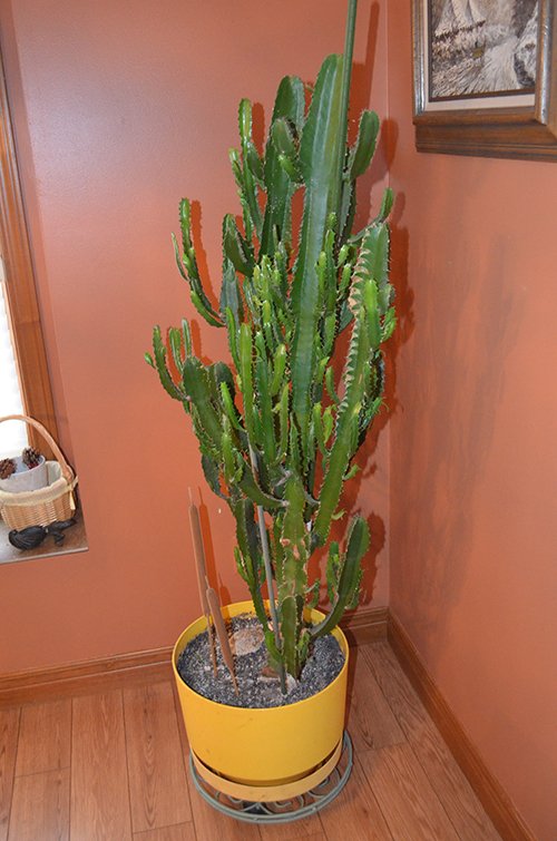 Property photo 123 - LEVITT PERSONAL PROPERTY& REAL ESTATE AUCTION