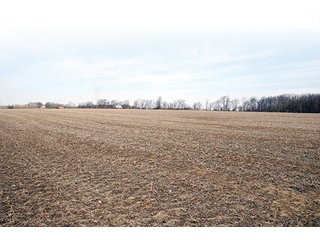 Farm C - Tract 5 - MAJOR LAND AUCTION, 489+/- Acres offered in 11 Tracts