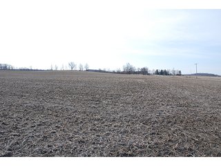 Farm B - Tract 4 - MAJOR LAND AUCTION, 489+/- Acres offered in 11 Tracts