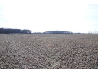 Farm B - Tract 4 - MAJOR LAND AUCTION, 489+/- Acres offered in 11 Tracts