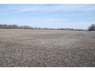 Farm A - Tract 3 - MAJOR LAND AUCTION, 489+/- Acres offered in 11 Tracts