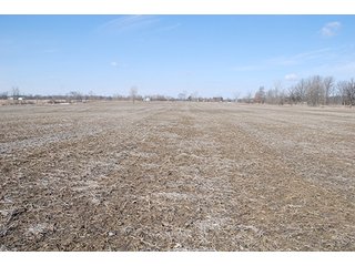 Farm D - Tract 7 - MAJOR LAND AUCTION, 489+/- Acres offered in 11 Tracts