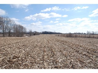 Farm E - Tract 11 - MAJOR LAND AUCTION, 489+/- Acres offered in 11 Tracts