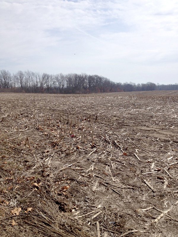 LAND AUCTION, 91+/- Acres offered in 1 Tract