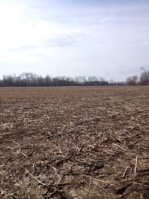 Property photo 1 - LAND AUCTION, 91+/- Acres offered in 1 Tract