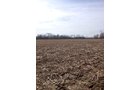Property photo 1 - LAND AUCTION, 91+/- Acres offered in 1 Tract