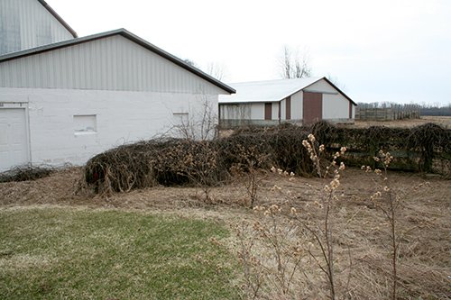 Property photo 59 - FARM EQUIPMENT AUCTION
