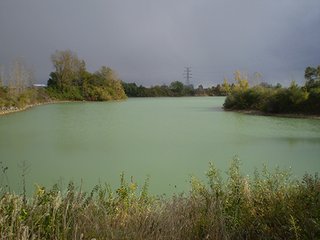 Property photo 26 - LAND AUCTION, 169+/- Acres offered in 6 Tracts, 77+/- Acres Quality Farmland