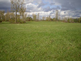 Property photo 5 - LAND AUCTION, 169+/- Acres offered in 6 Tracts, 77+/- Acres Quality Farmland