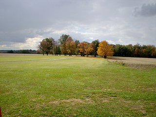 Property photo 8 - LAND AUCTION, 169+/- Acres offered in 6 Tracts, 77+/- Acres Quality Farmland