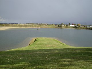 Property photo 28 - LAND AUCTION, 169+/- Acres offered in 6 Tracts, 77+/- Acres Quality Farmland
