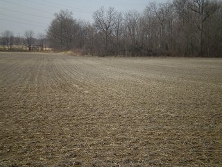 Property photo 10 - LAND AUCTION, 169+/- Acres offered in 6 Tracts, 77+/- Acres Quality Farmland