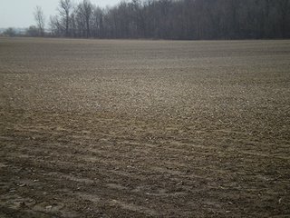 Property photo 1 - LAND AUCTION, 169+/- Acres offered in 6 Tracts, 77+/- Acres Quality Farmland