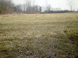 Property photo 6 - LAND AUCTION, 169+/- Acres offered in 6 Tracts, 77+/- Acres Quality Farmland