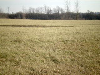 Property photo 11 - LAND AUCTION, 169+/- Acres offered in 6 Tracts, 77+/- Acres Quality Farmland