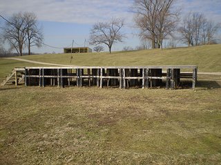Property photo 25 - LAND AUCTION, 169+/- Acres offered in 6 Tracts, 77+/- Acres Quality Farmland