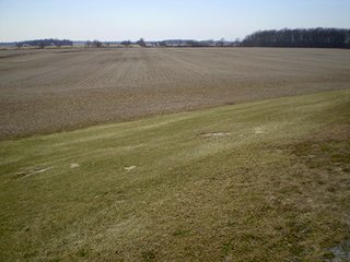 Property photo 16 - LAND AUCTION, 169+/- Acres offered in 6 Tracts, 77+/- Acres Quality Farmland