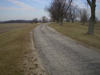 Property photo 9 - LAND AUCTION, 169+/- Acres offered in 6 Tracts, 77+/- Acres Quality Farmland
