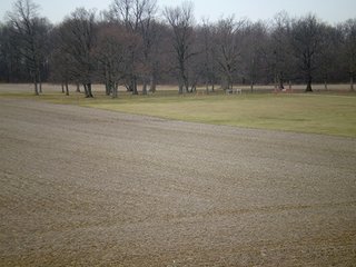 Property photo 4 - LAND AUCTION, 169+/- Acres offered in 6 Tracts, 77+/- Acres Quality Farmland