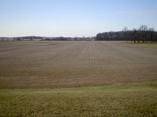 Property photo 3 - LAND AUCTION, 169+/- Acres offered in 6 Tracts, 77+/- Acres Quality Farmland