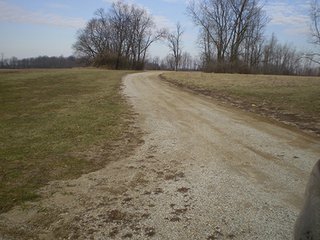 Property photo 17 - LAND AUCTION, 169+/- Acres offered in 6 Tracts, 77+/- Acres Quality Farmland