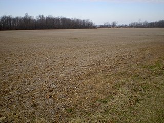 Property photo 14 - LAND AUCTION, 169+/- Acres offered in 6 Tracts, 77+/- Acres Quality Farmland