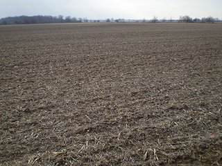 Property photo 7 - LAND AUCTION, 169+/- Acres offered in 6 Tracts, 77+/- Acres Quality Farmland