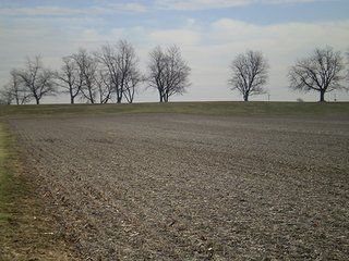 Property photo 15 - LAND AUCTION, 169+/- Acres offered in 6 Tracts, 77+/- Acres Quality Farmland