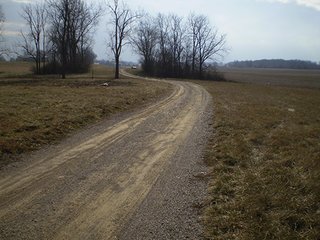 Property photo 13 - LAND AUCTION, 169+/- Acres offered in 6 Tracts, 77+/- Acres Quality Farmland