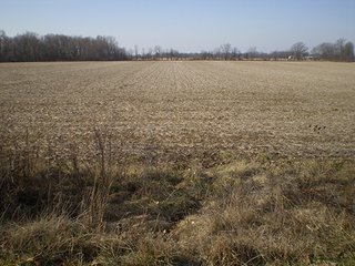 Property photo 12 - LAND AUCTION, 169+/- Acres offered in 6 Tracts, 77+/- Acres Quality Farmland
