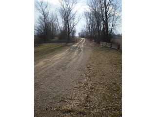 Property photo 18 - LAND AUCTION, 169+/- Acres offered in 6 Tracts, 77+/- Acres Quality Farmland