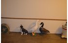 Property photo 59 - PERSONAL PROPERTY & REAL ESTATE AUCTION, 2 DATES!