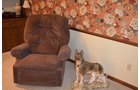 Property photo 102 - PERSONAL PROPERTY & REAL ESTATE AUCTION, 2 DATES!