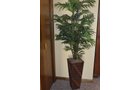 Property photo 89 - PERSONAL PROPERTY & REAL ESTATE AUCTION, 2 DATES!